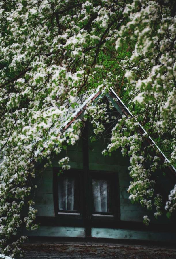 Villa Vikendica,, Tadic,, Ovcar Banja Extérieur photo