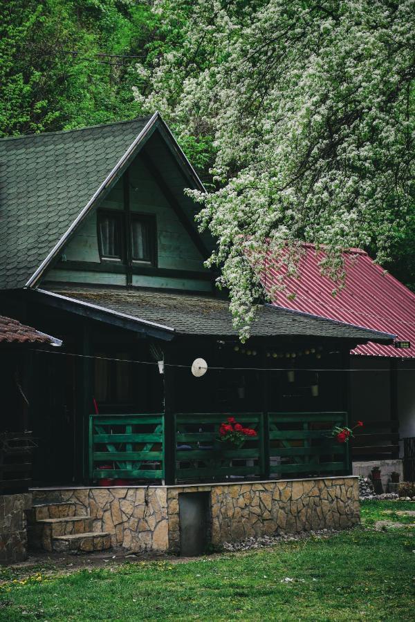 Villa Vikendica,, Tadic,, Ovcar Banja Extérieur photo